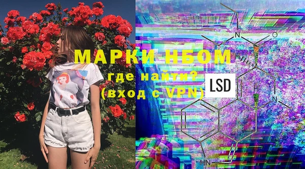 ГАЛЛЮЦИНОГЕННЫЕ ГРИБЫ Каменск-Шахтинский