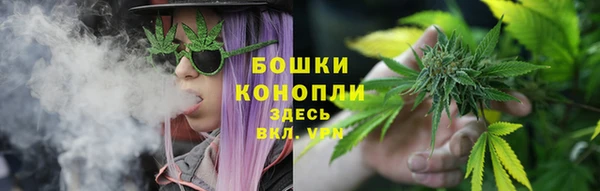 ГАЛЛЮЦИНОГЕННЫЕ ГРИБЫ Каменск-Шахтинский