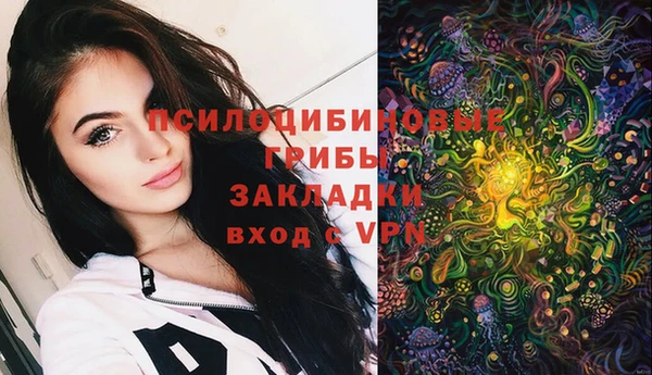 ГАЛЛЮЦИНОГЕННЫЕ ГРИБЫ Каменск-Шахтинский