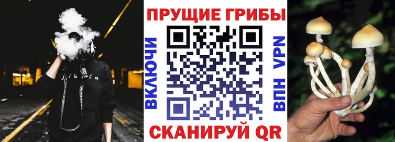 Псилоцибиновые грибы Psilocybe  кракен зеркало  Сызрань 
