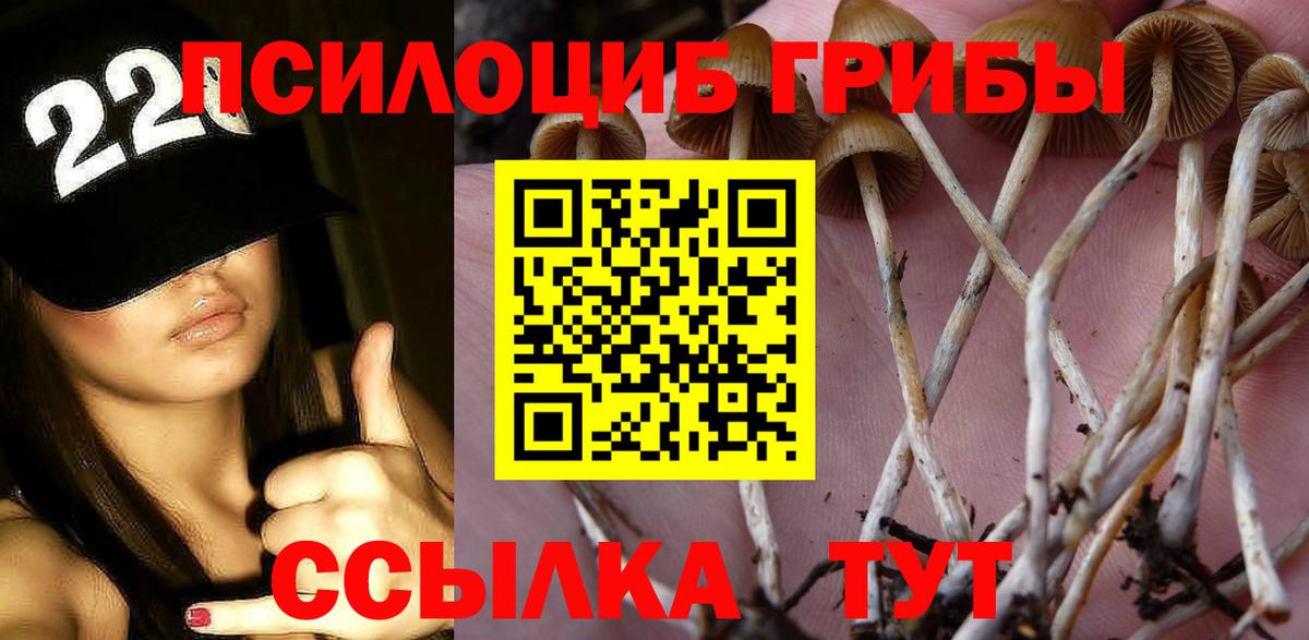 Псилоцибиновые грибы мицелий Сызрань