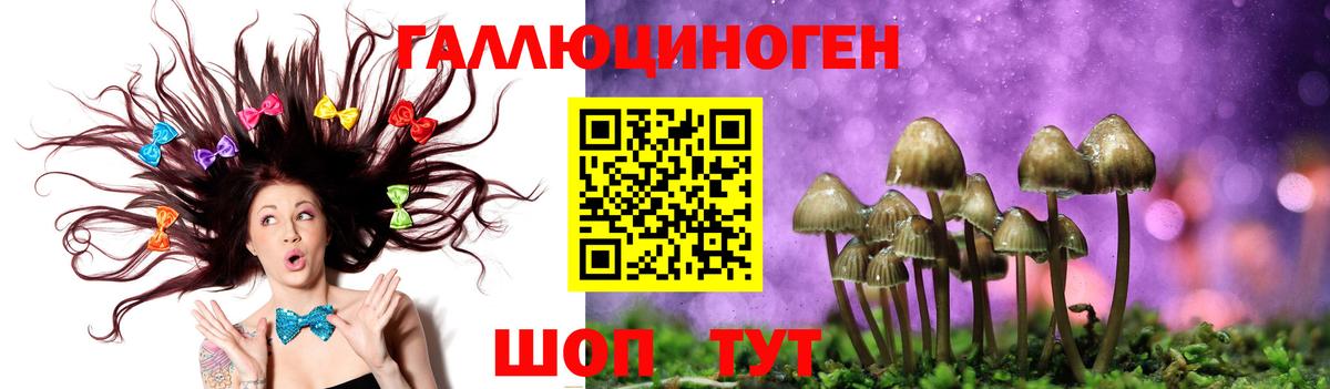 Сызрань  где купить наркоту  Вход с VPN  Псилоцибиновые грибы MAGIC MUSHROOMS 